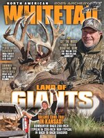 North American Whitetail